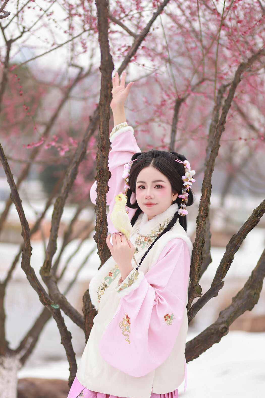 YiTuYu艺图语 Vol.6943 Xiao Du Tong Xue