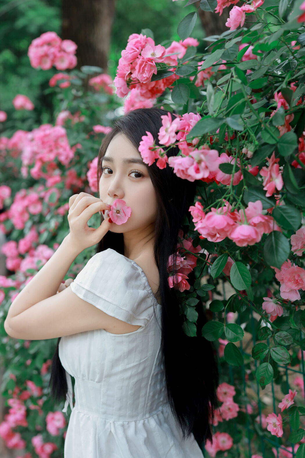 YiTuYu艺图语 Vol.6960 Wo Bu Shua Niao
