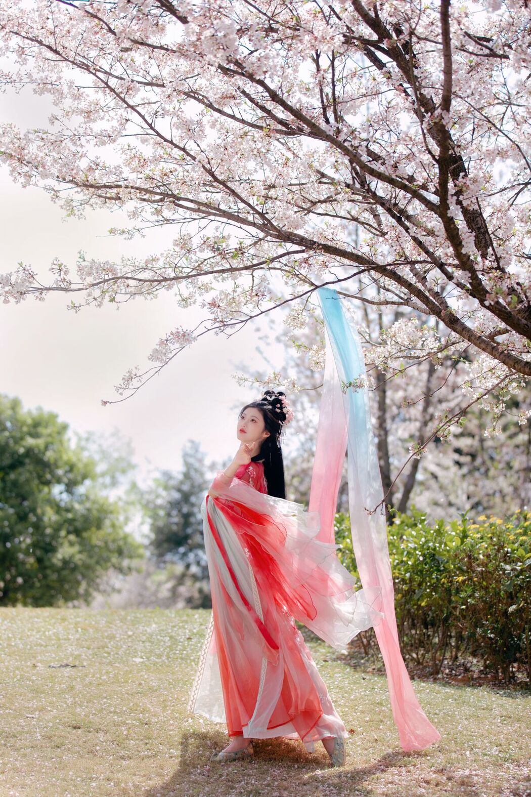 YiTuYu艺图语 Vol.7033 Yang Yang
