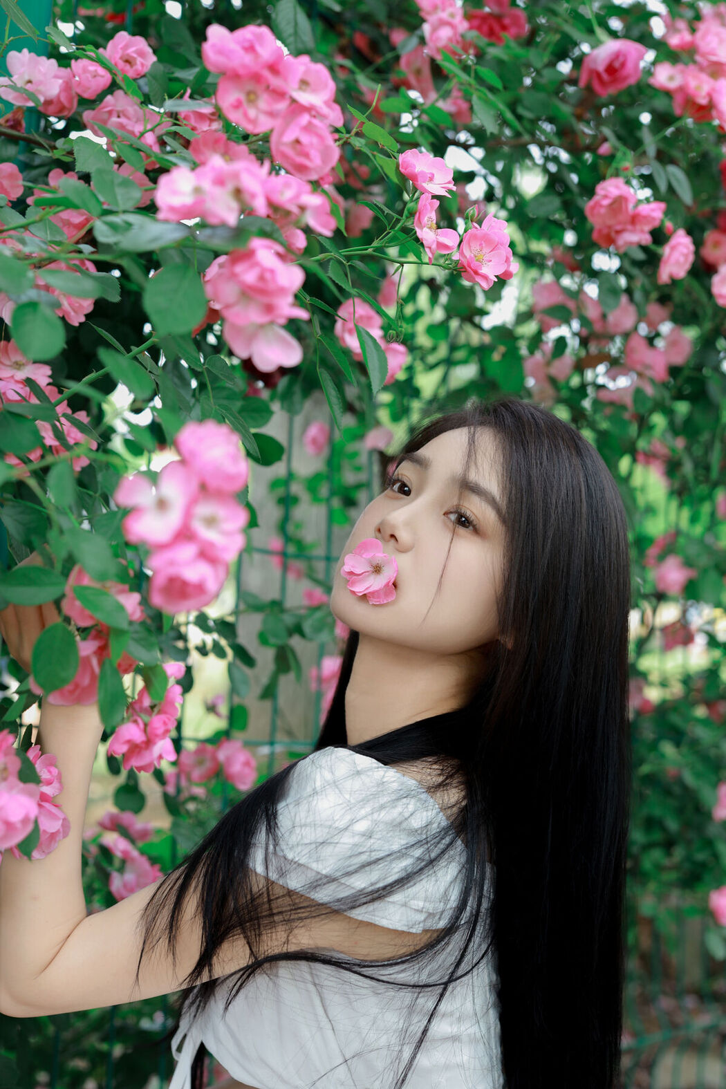 YiTuYu艺图语 Vol.6960 Wo Bu Shua Niao
