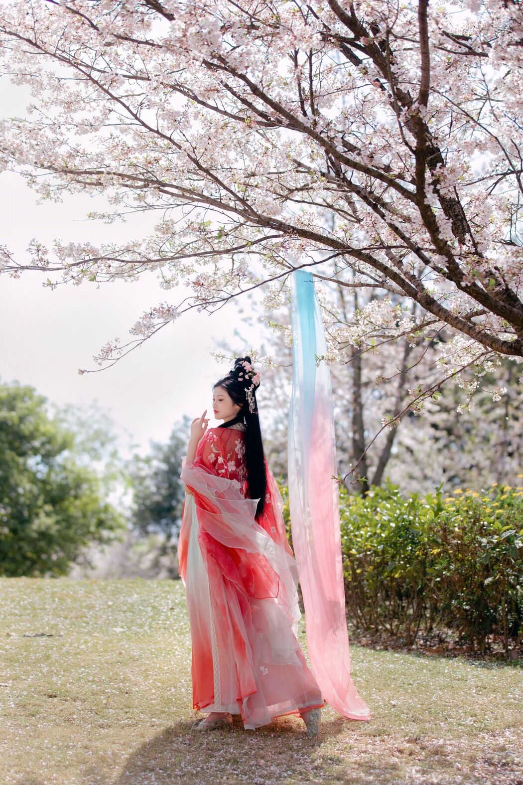 YiTuYu艺图语 Vol.7033 Yang Yang