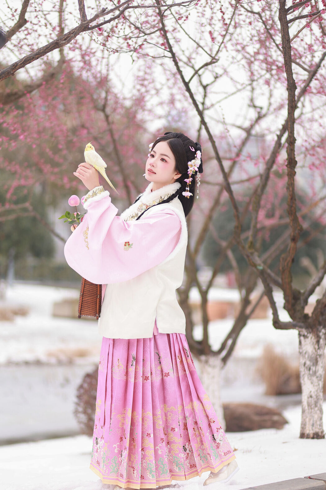 YiTuYu艺图语 Vol.6943 Xiao Du Tong Xue
