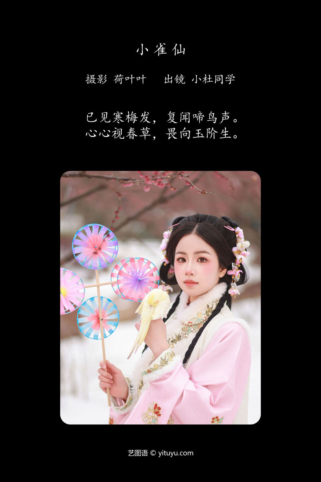 YiTuYu艺图语 Vol.6943 Xiao Du Tong Xue