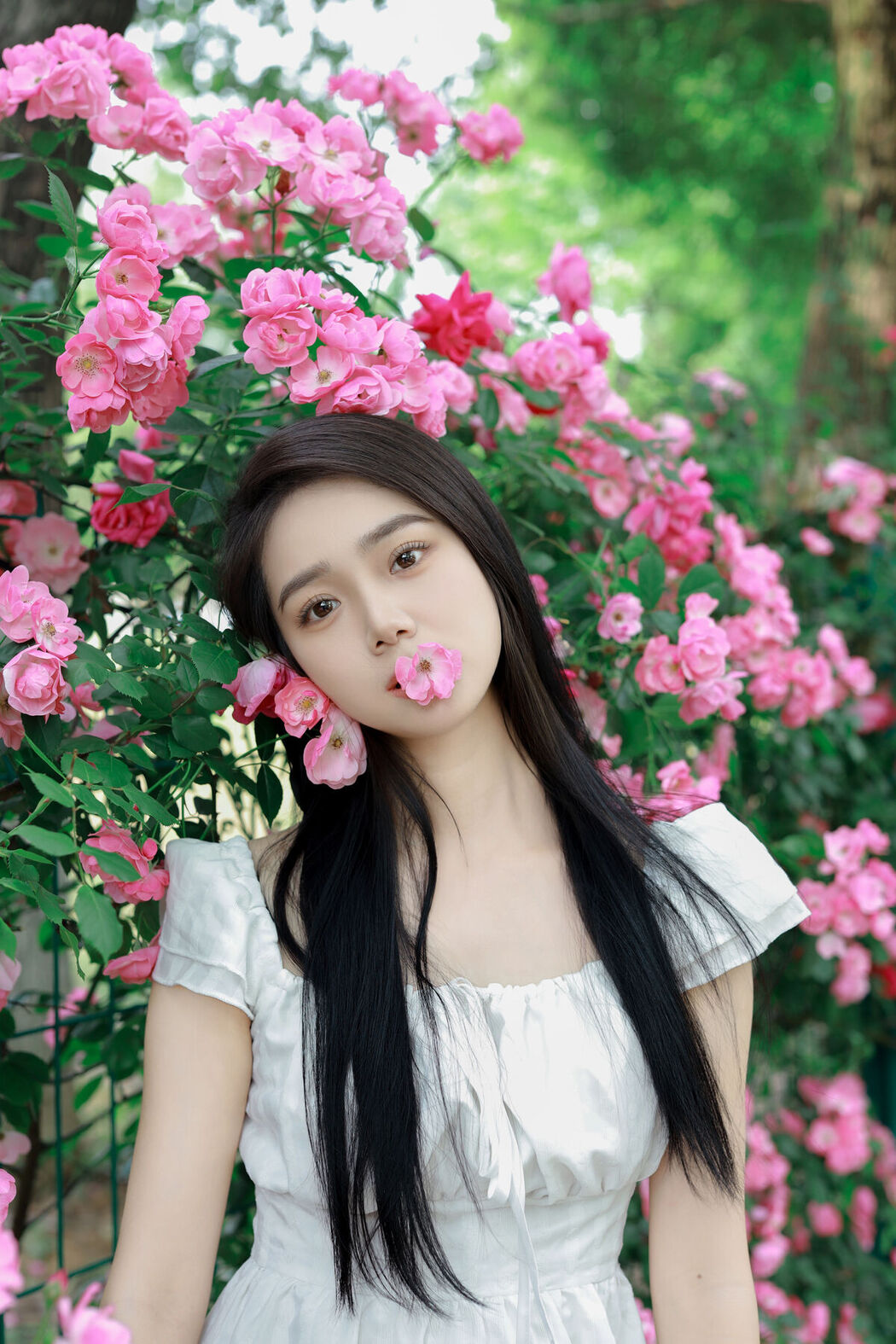 YiTuYu艺图语 Vol.6960 Wo Bu Shua Niao