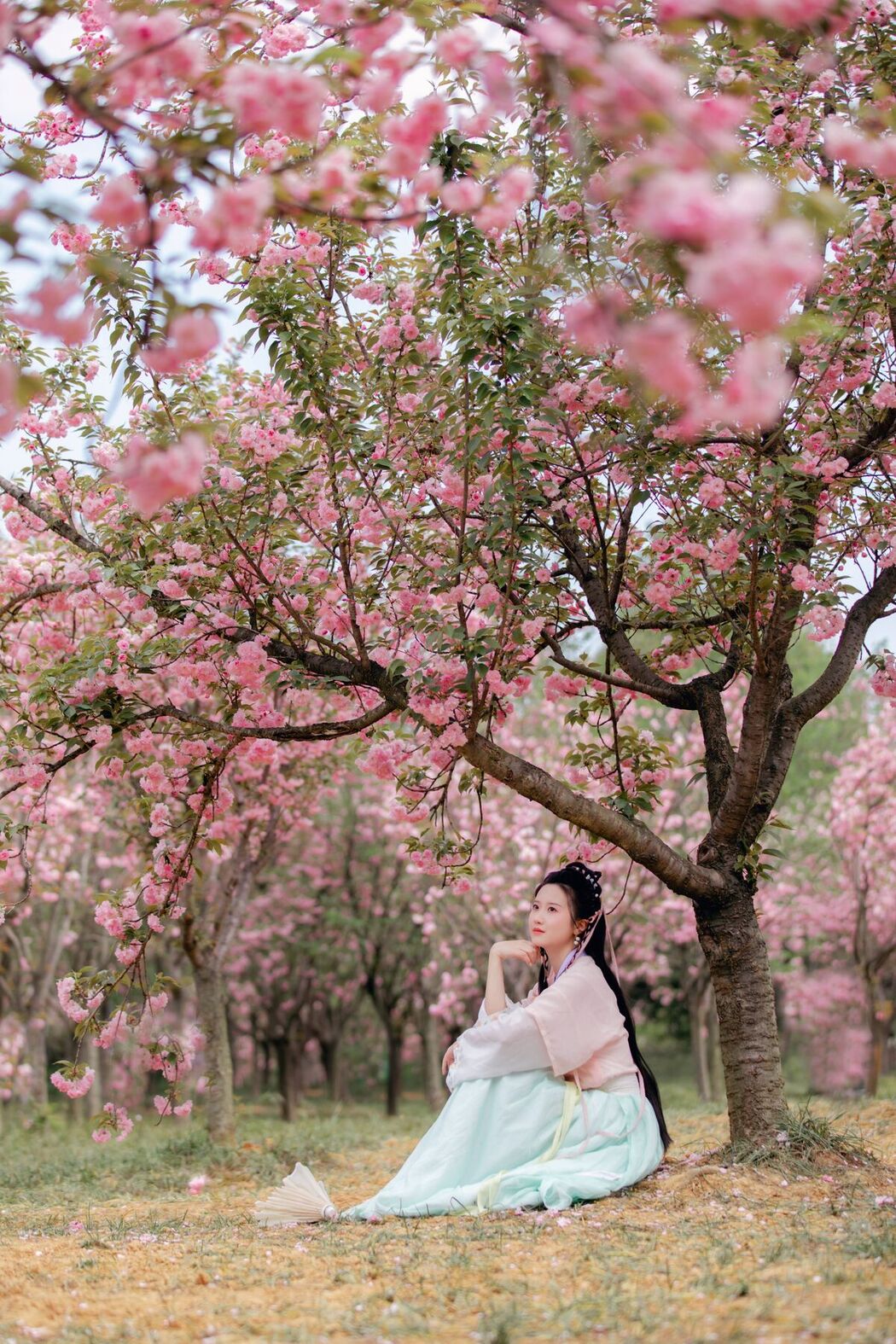 YiTuYu艺图语 Vol.7042 Zhou Mi Fan