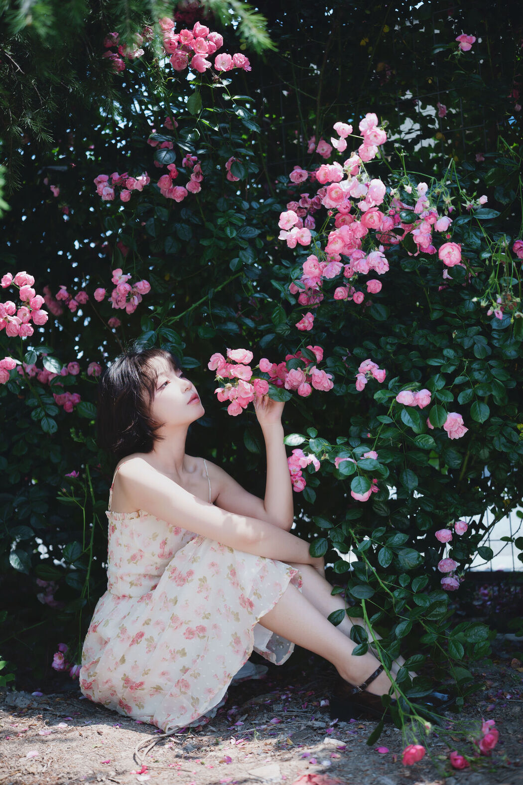 YiTuYu艺图语 Vol.7092 Disexi Si Ning