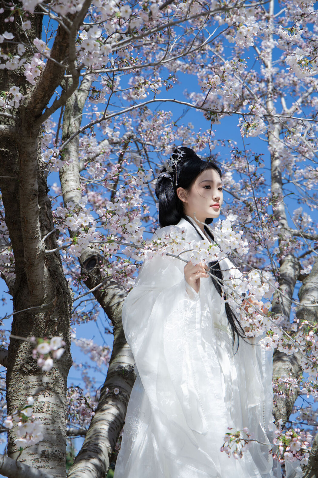 YiTuYu艺图语 Vol.7106 Xiang Wang Hui Shou Miao Miao Miao