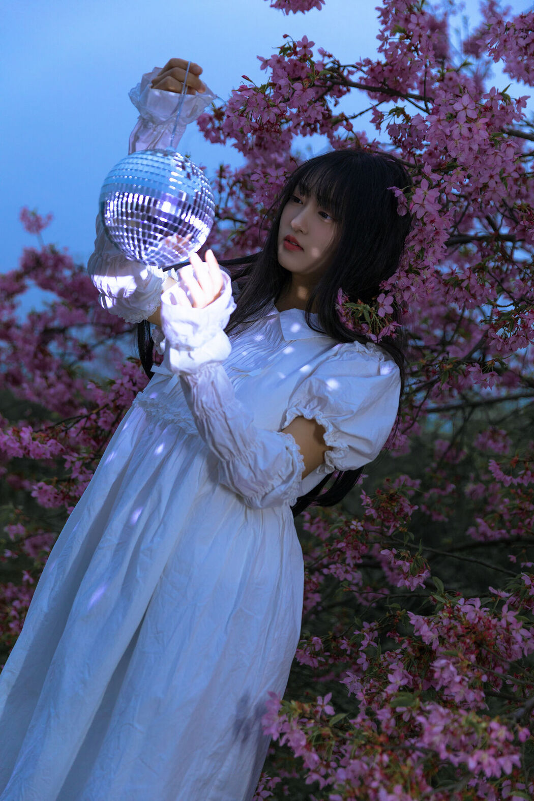 YiTuYu艺图语 Vol.7114 Leng Ku Wang Ye