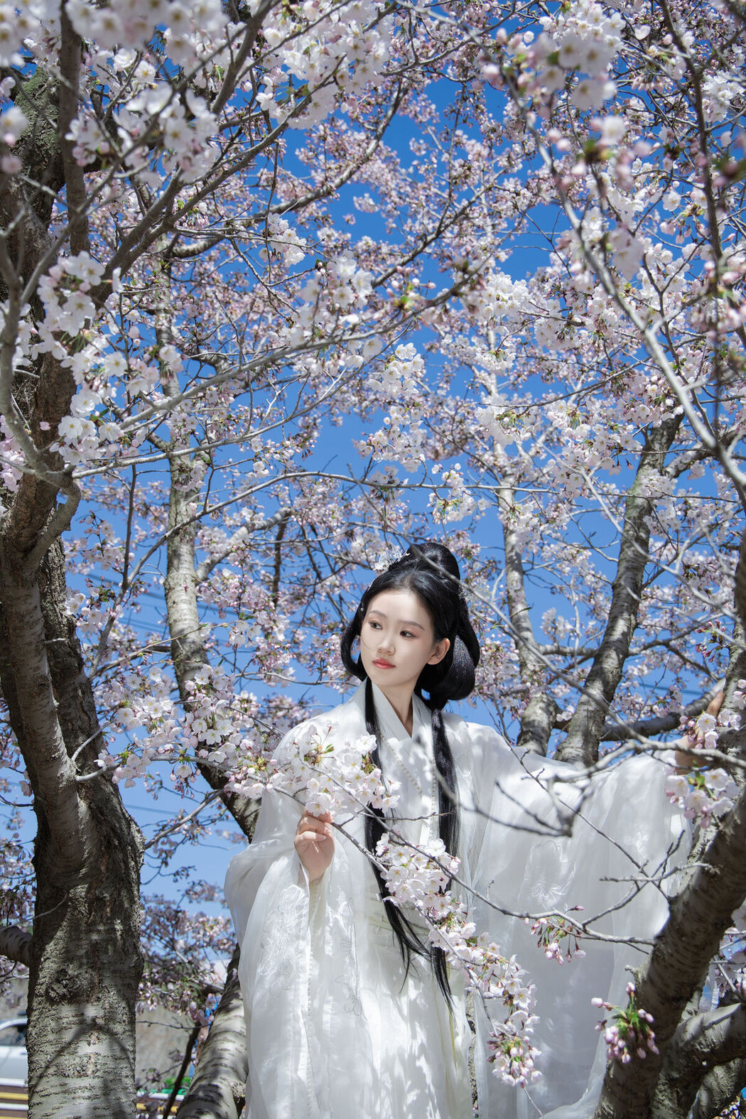 YiTuYu艺图语 Vol.7106 Xiang Wang Hui Shou Miao Miao Miao