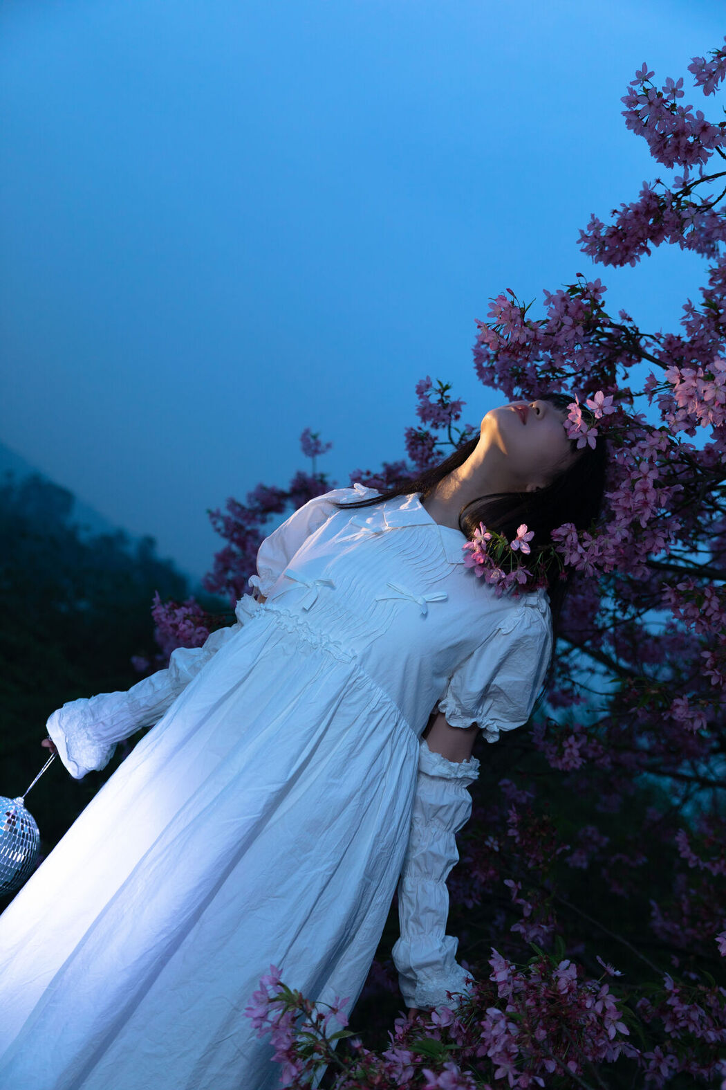 YiTuYu艺图语 Vol.7114 Leng Ku Wang Ye