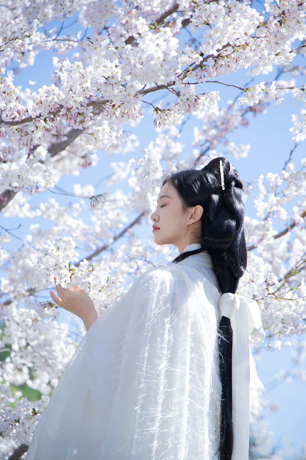 YiTuYu艺图语 Vol.7106 Xiang Wang Hui Shou Miao Miao Miao