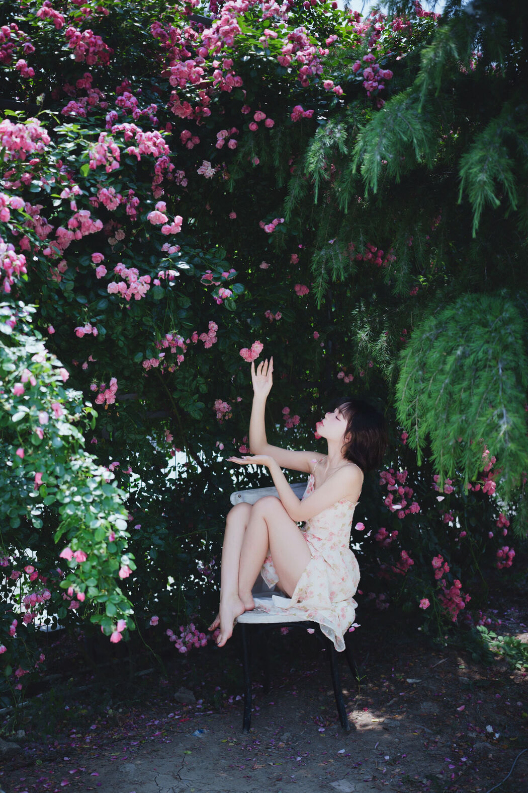 YiTuYu艺图语 Vol.7092 Disexi Si Ning