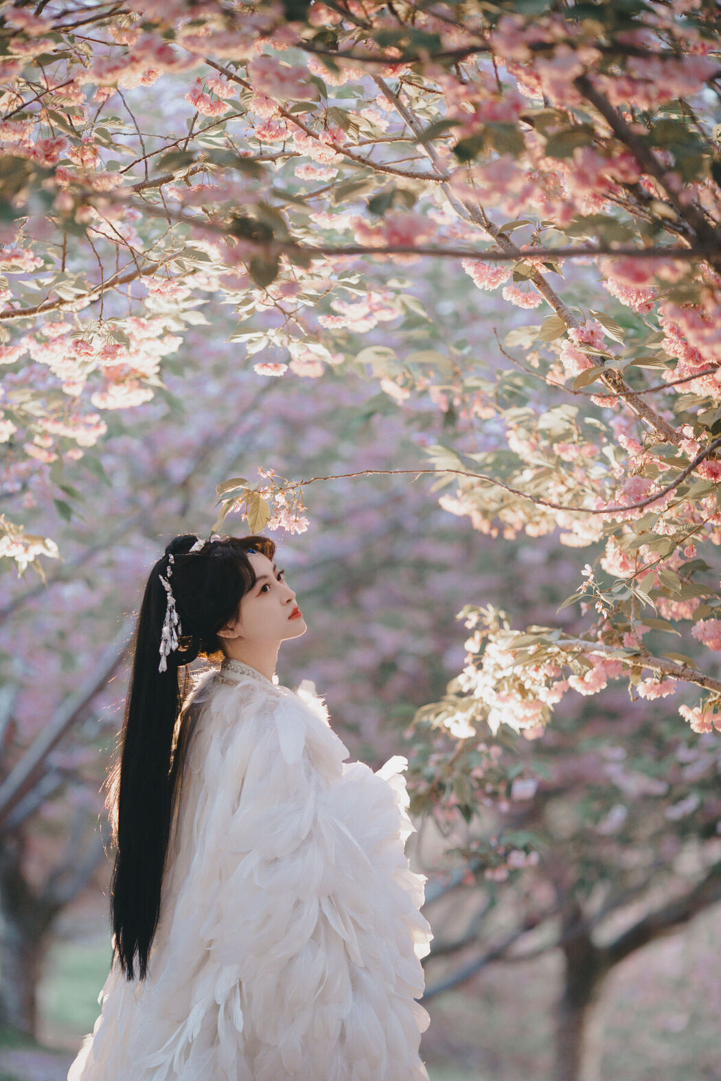YiTuYu艺图语 Vol.7115 Yi Xuan