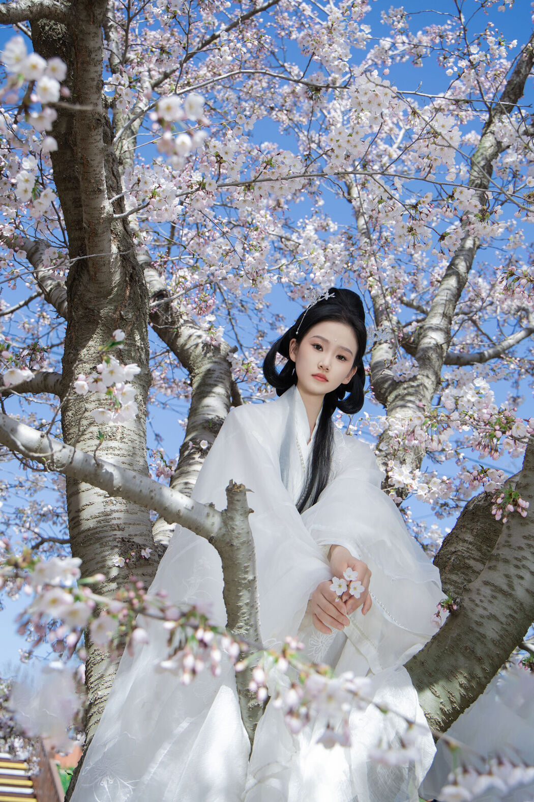 YiTuYu艺图语 Vol.7106 Xiang Wang Hui Shou Miao Miao Miao