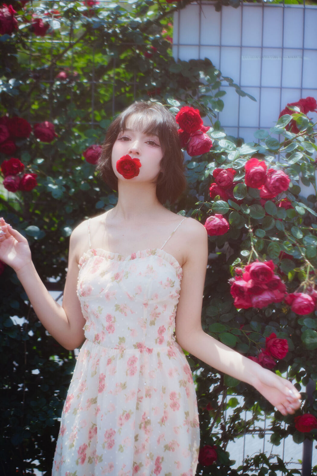 YiTuYu艺图语 Vol.7092 Disexi Si Ning