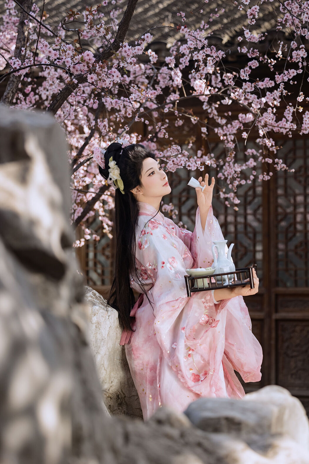 YiTuYu艺图语 Vol.7161 Yin Nan Yun