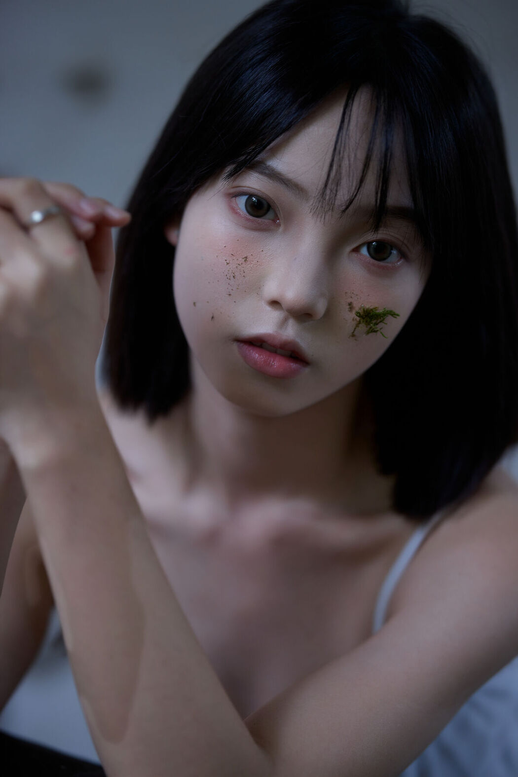 YiTuYu艺图语 Vol.7262 Jiu Cai He Zi