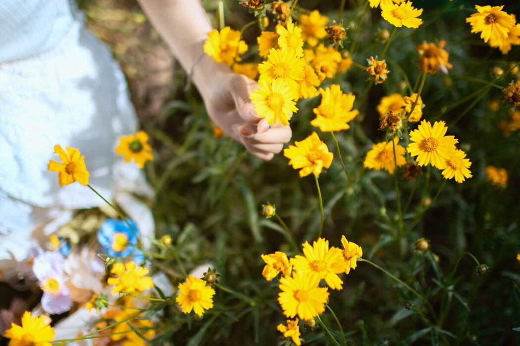 YiTuYu艺图语 Vol.7181 Qian Luo Nai You