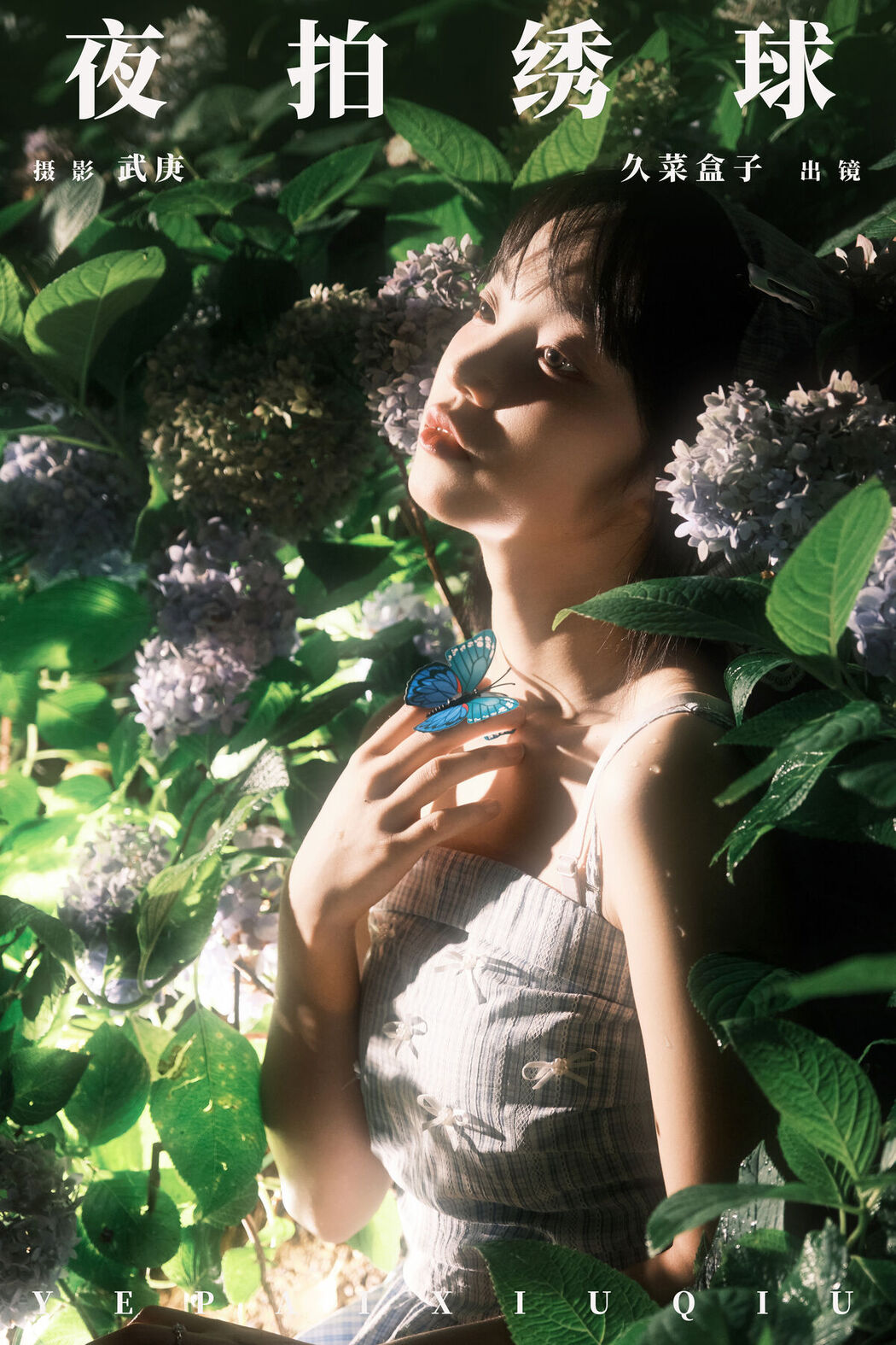YiTuYu艺图语 Vol.7229 Jiu Cai He Zi