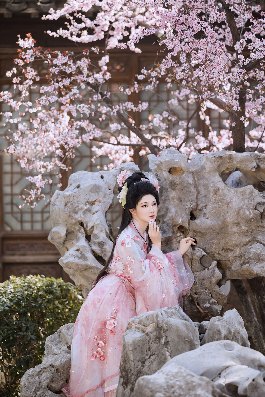 YiTuYu艺图语 Vol.7161 Yin Nan Yun