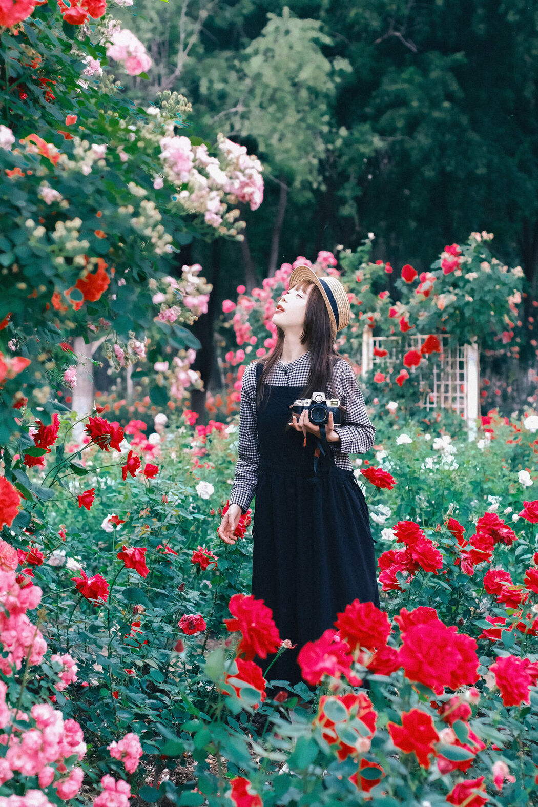 YiTuYu艺图语 Vol.7209 Sweet T Tian Tian