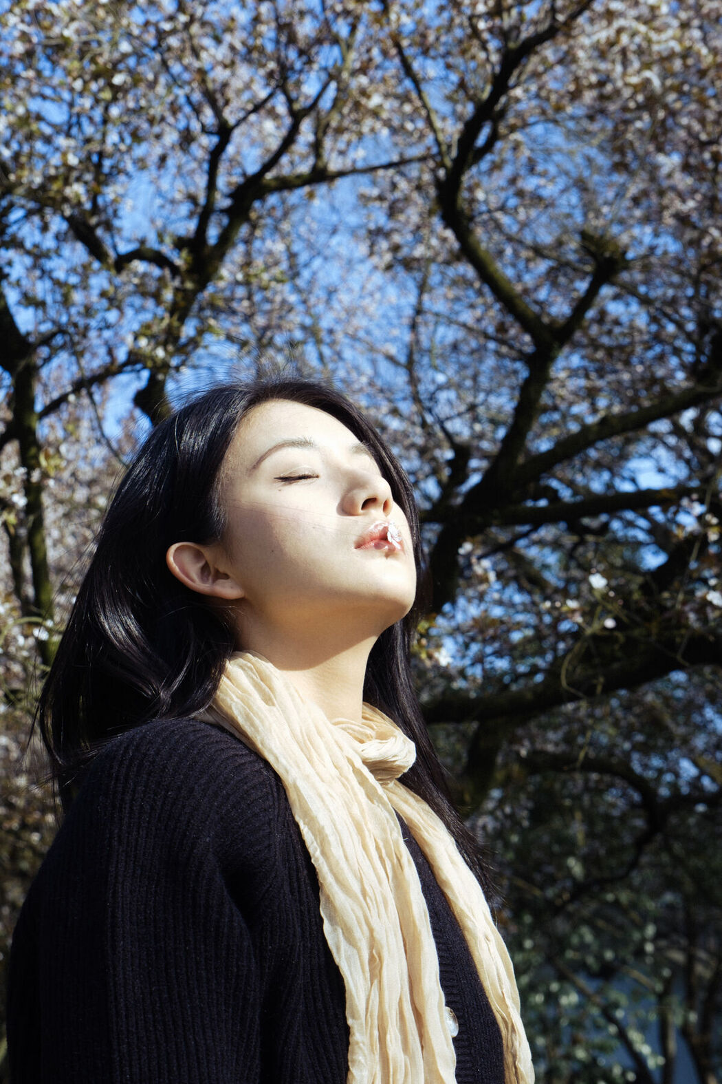 YiTuYu艺图语 Vol.7225 Sha Sha Shuai Shuai Yu