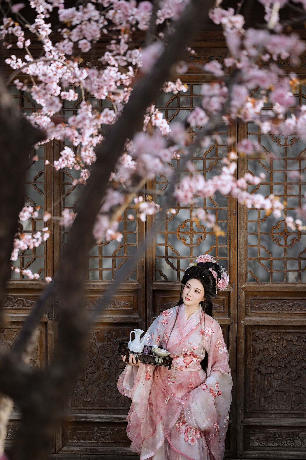 YiTuYu艺图语 Vol.7161 Yin Nan Yun