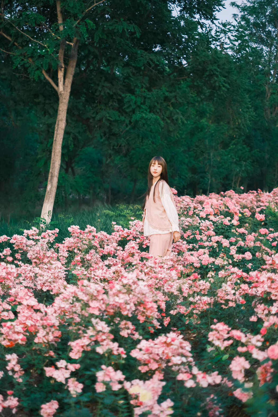 YiTuYu艺图语 Vol.7230 Sweet T Tian Tian