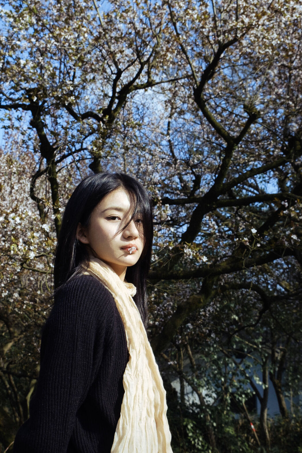 YiTuYu艺图语 Vol.7225 Sha Sha Shuai Shuai Yu