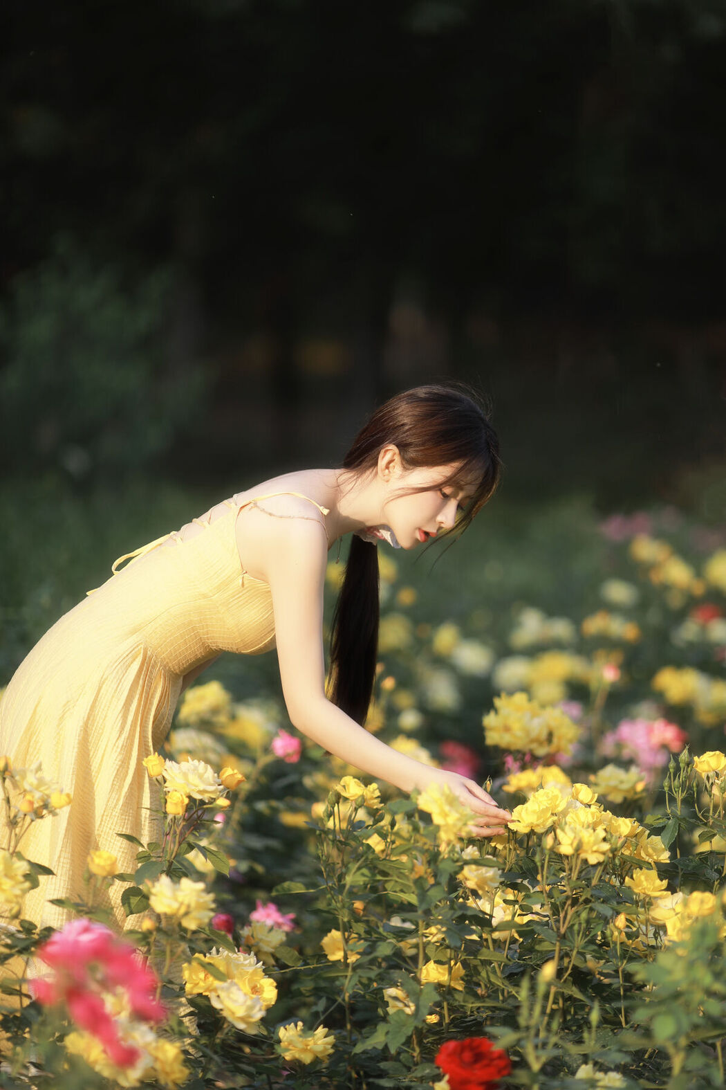 YiTuYu艺图语 Vol.7142 Yang Yi Mo