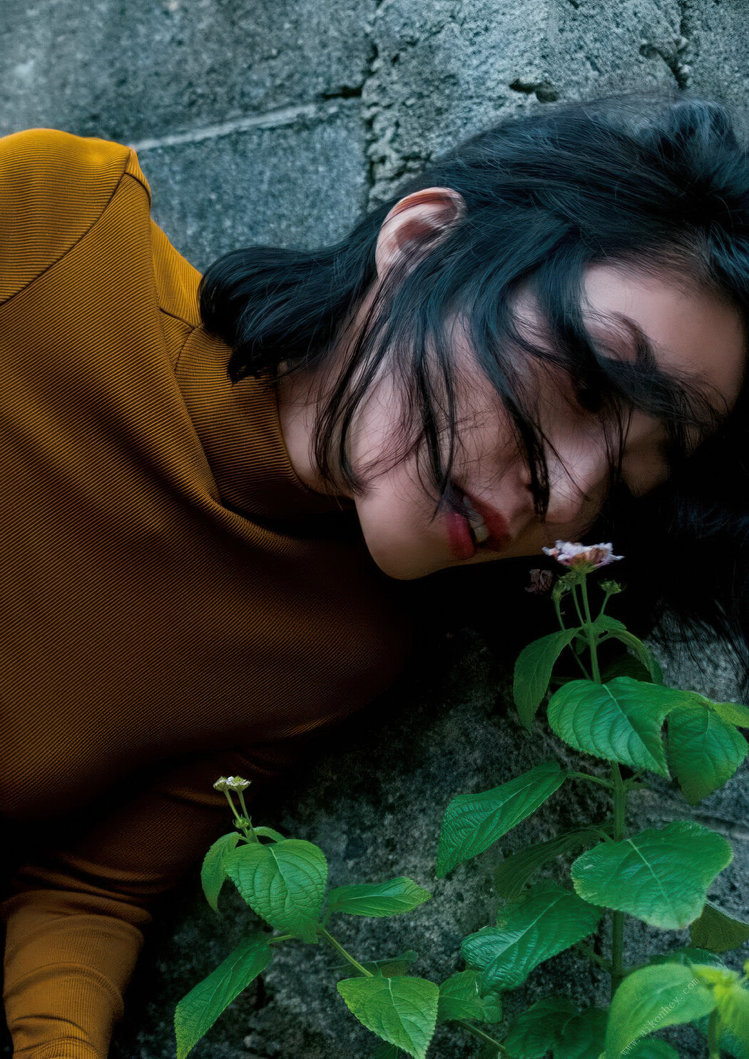 Hiroko Sato 佐藤寛子, FLASHデジタル写真集Q 「1262」 Set.02