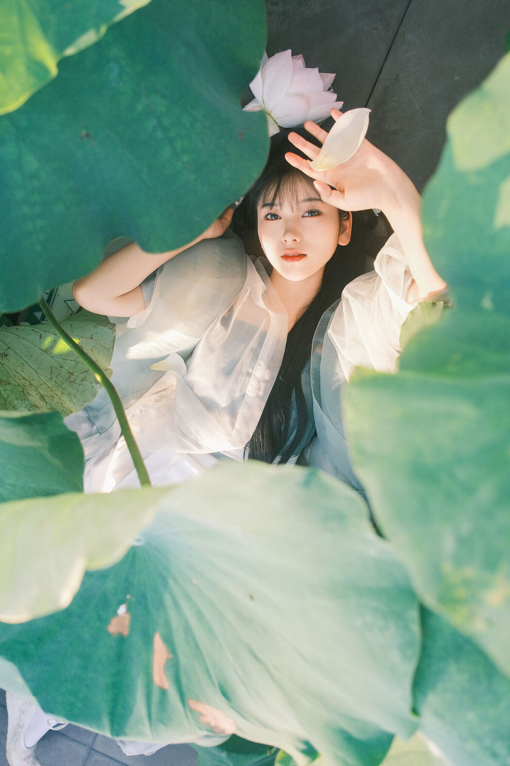 YiTuYu艺图语 Vol.7464 Jing Jing