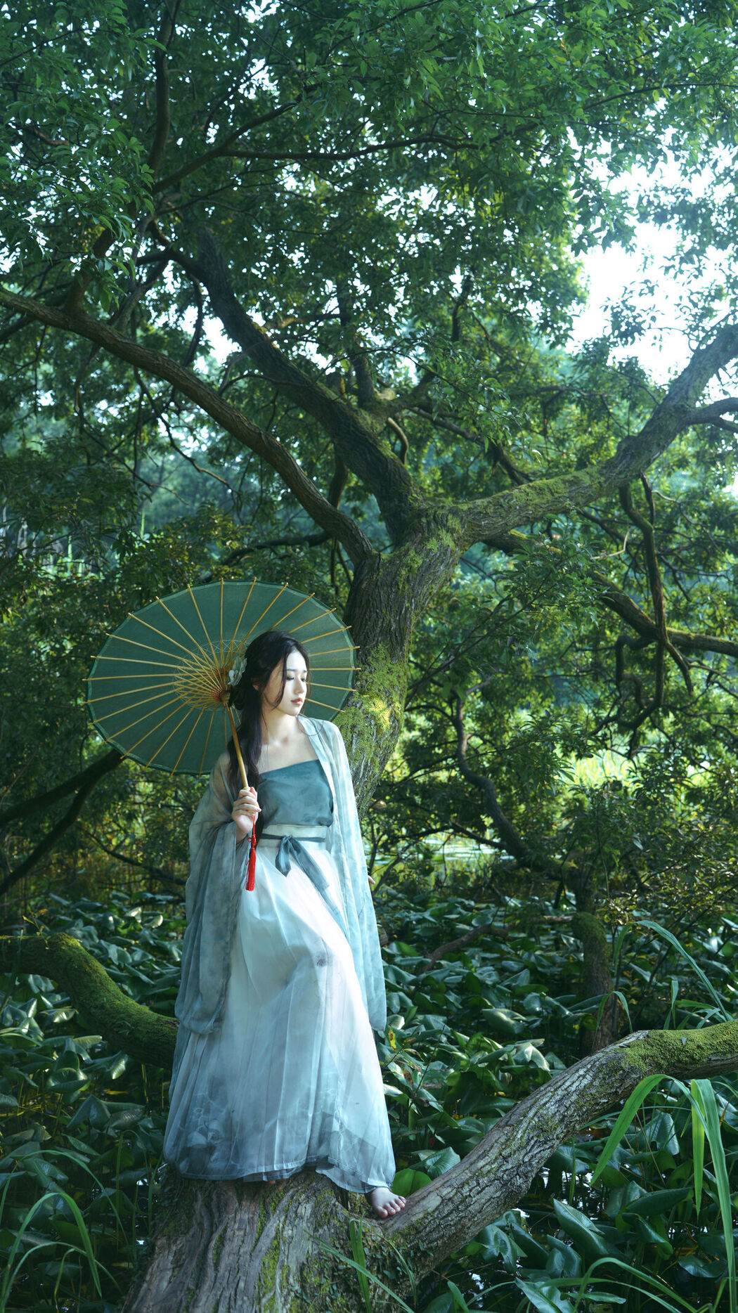 YiTuYu艺图语 Vol.7533 Zang Yi Tong