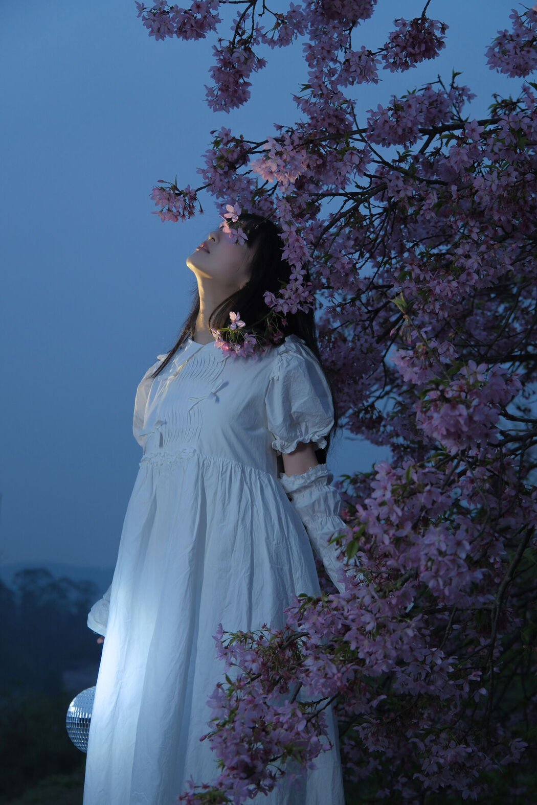 YiTuYu艺图语 Vol.7944 Leng Ku Wang Ye