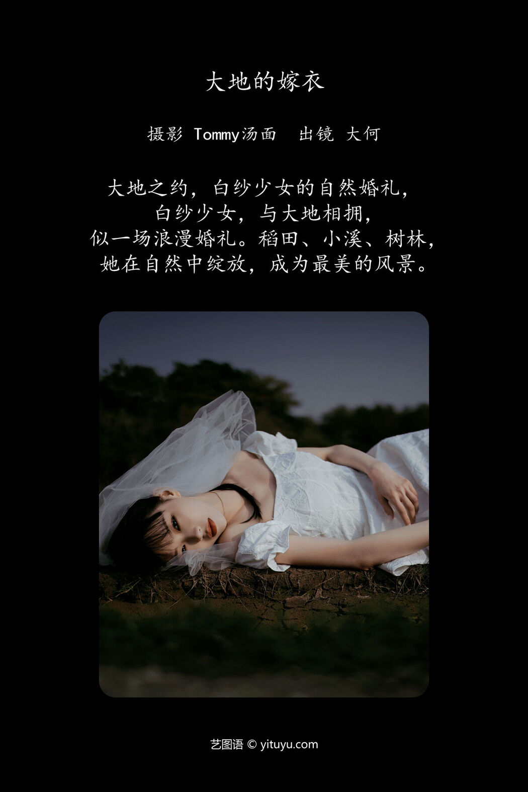 YiTuYu艺图语 Vol.8075 大何 (27P)