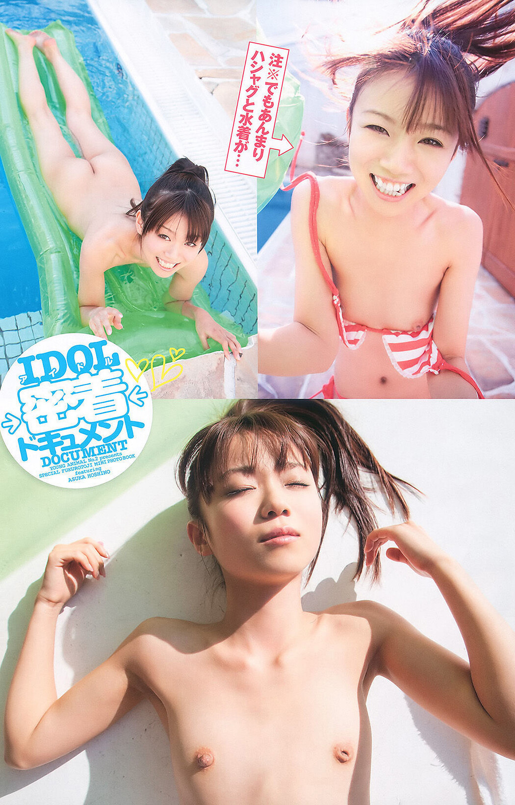 Asuka Hoshino ほしのあすか, Young Animal 2011 No.02 (ヤングアニマル 2011年2号)