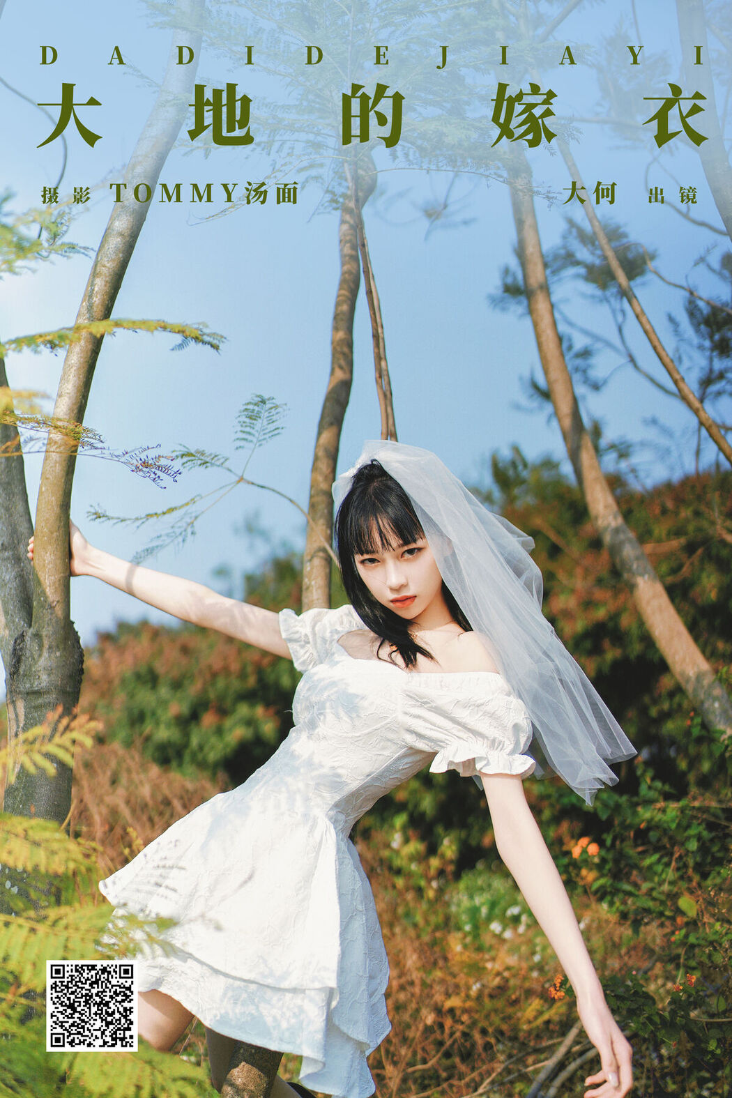 YiTuYu艺图语 Vol.8075 大何 (27P)
