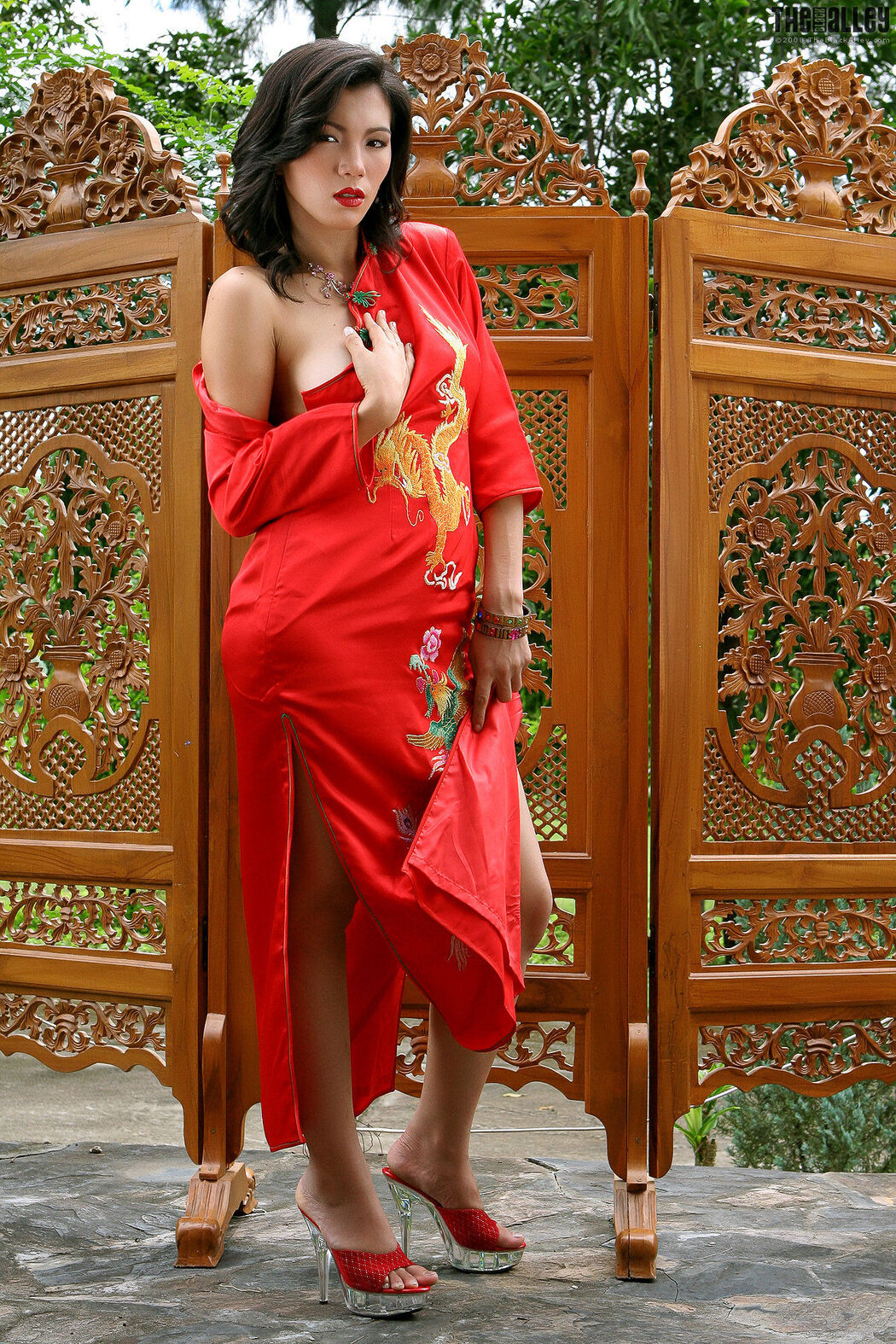 [The Black Alley/TBA黑巷] Wang Xiao Hong Classical Cheongsam Cover Photo
