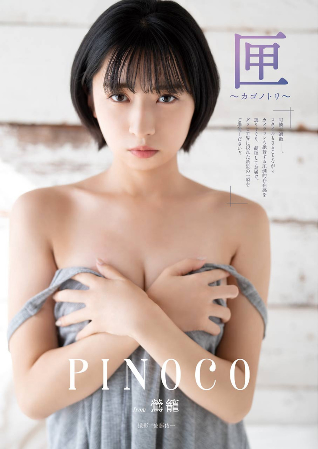 PINOCO ぴのこ, Young Gangan 2021 No.02 (ヤングガンガン 2021年2号) Cover Photo