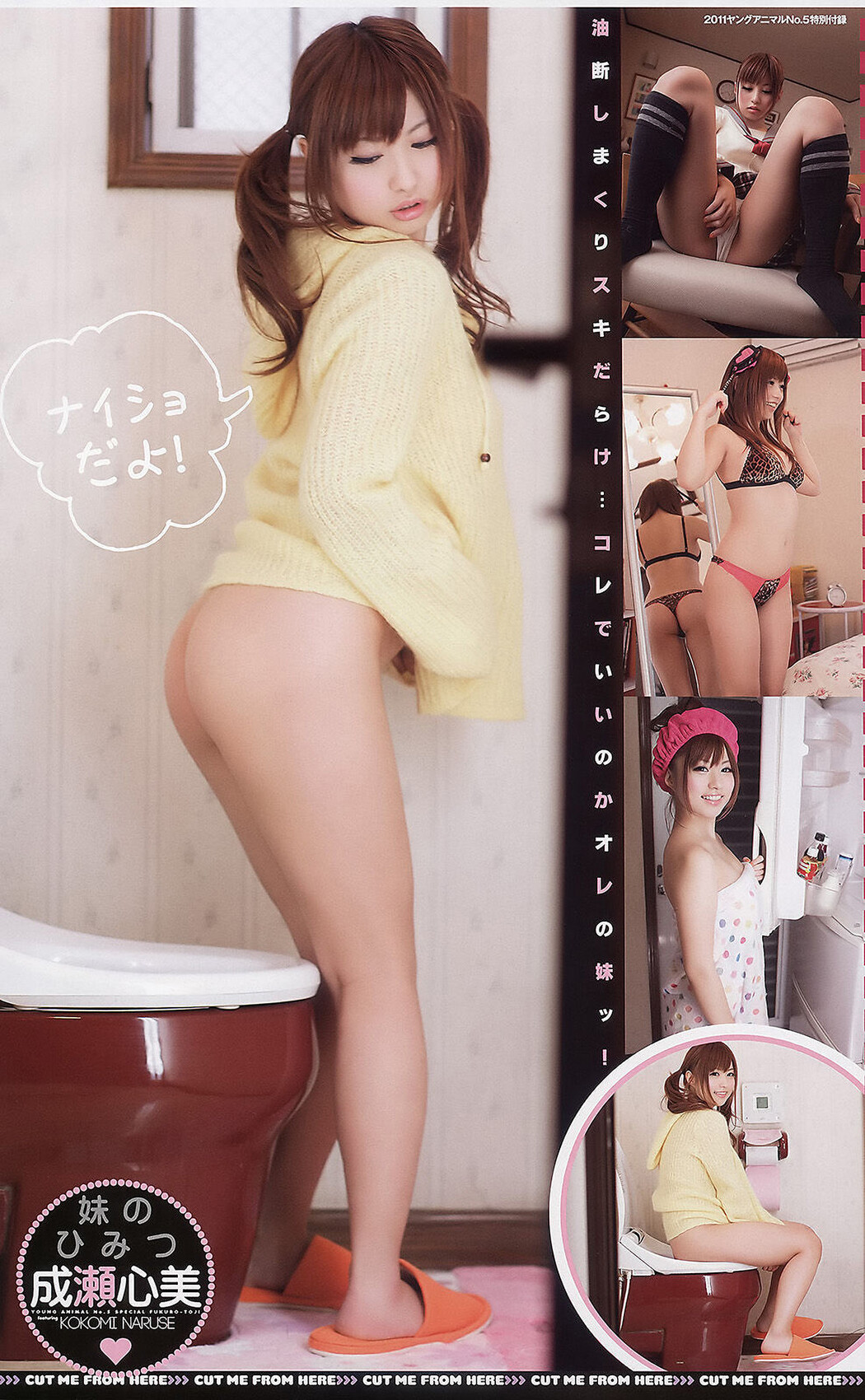 Naruse Kokomi 成瀬心美, Young Animal 2011 No.05 (ヤングアニマル 2011年5号)