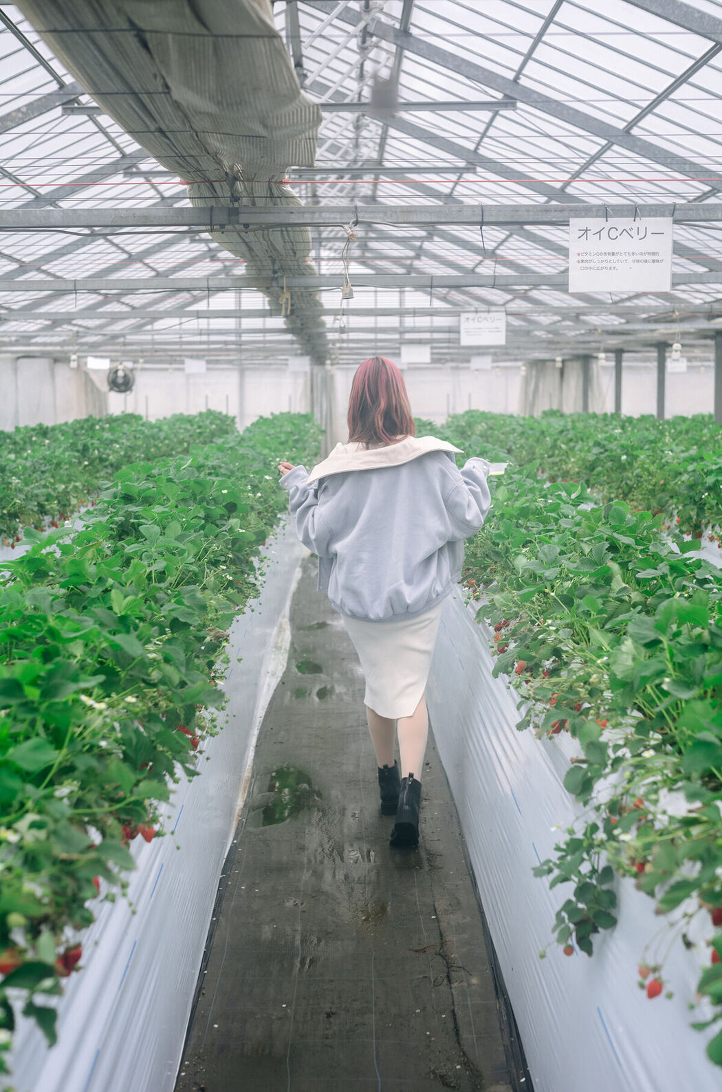 Coser@Ely_eee ElyEE子 – Strawberry Picking Date (35P – 2V)