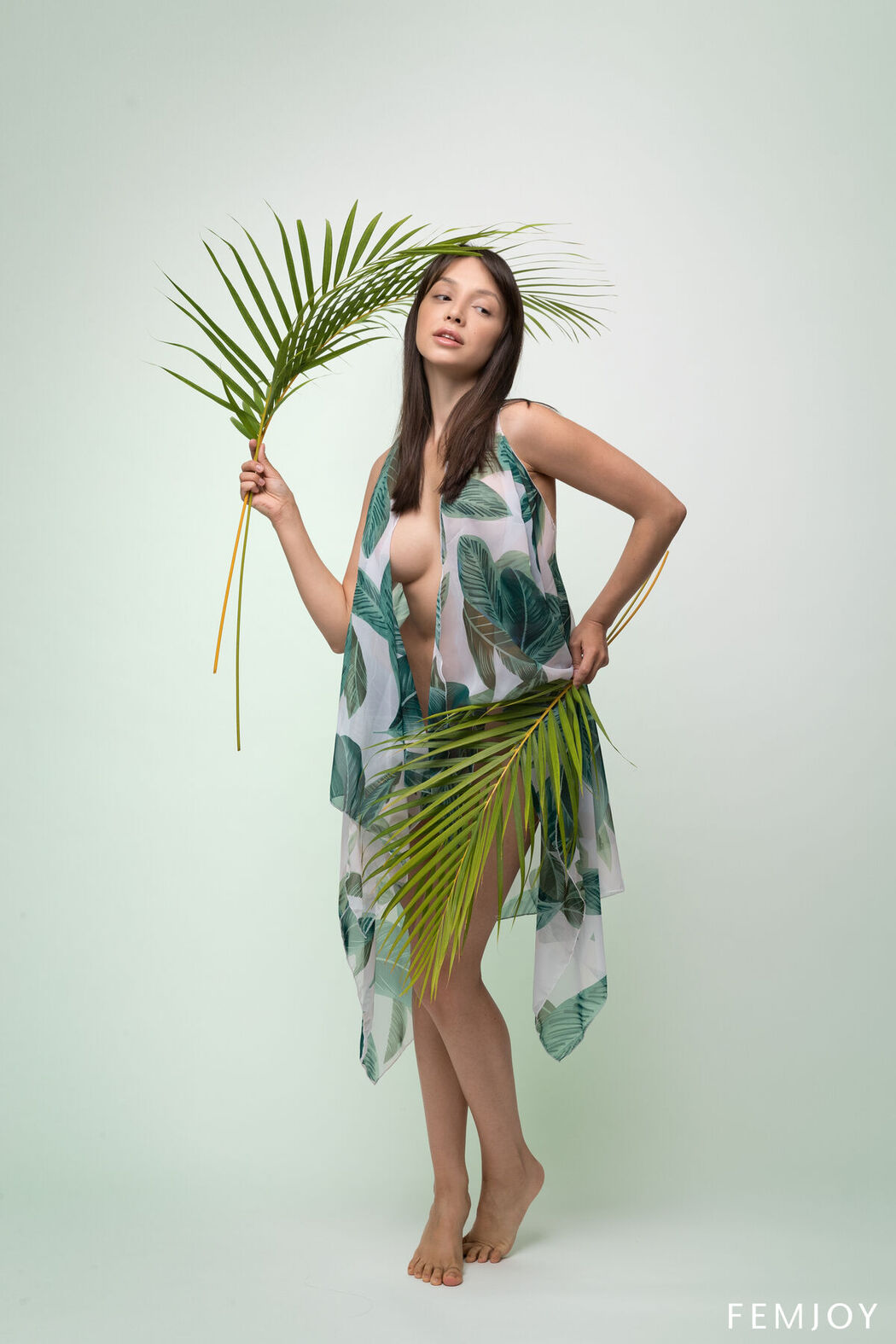 FemJoy Olivia Linz – Palmwedel (41P)