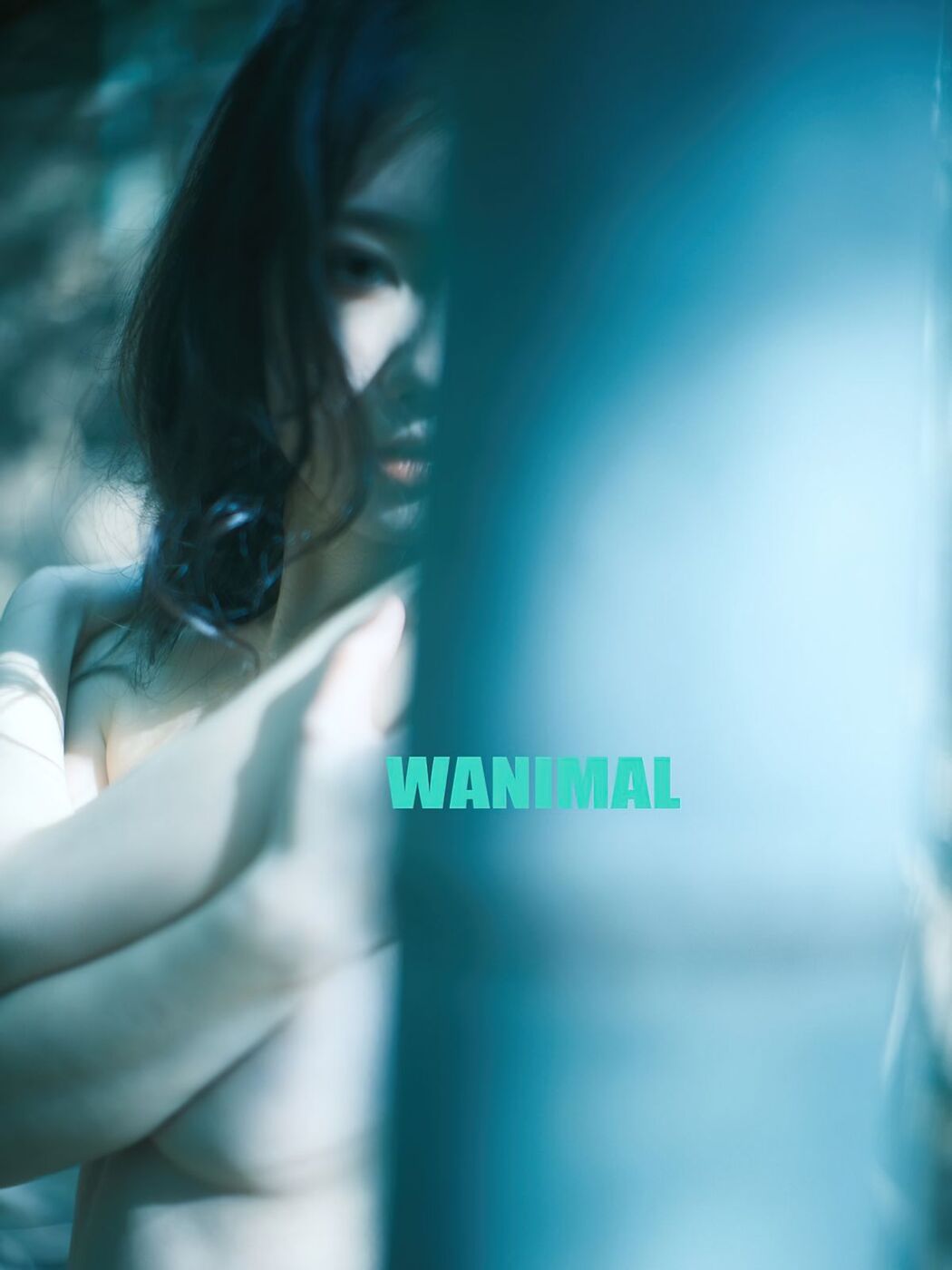 Coser@桃良阿宅 – 王动作品 (64P)