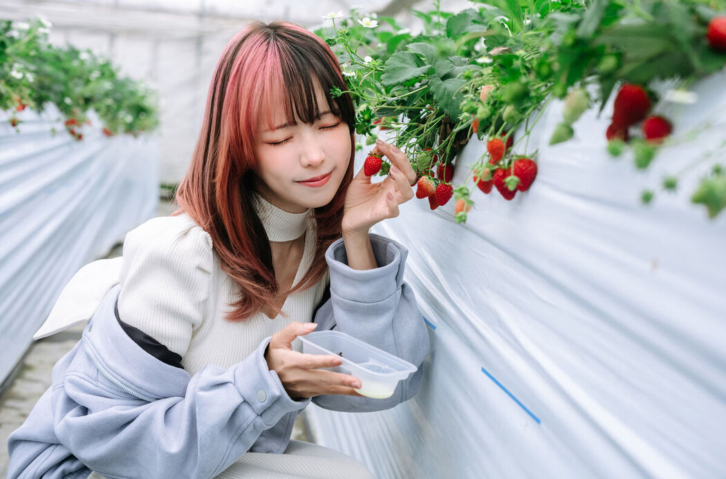 Coser@Ely_eee ElyEE子 – Strawberry Picking Date (35P – 2V)
