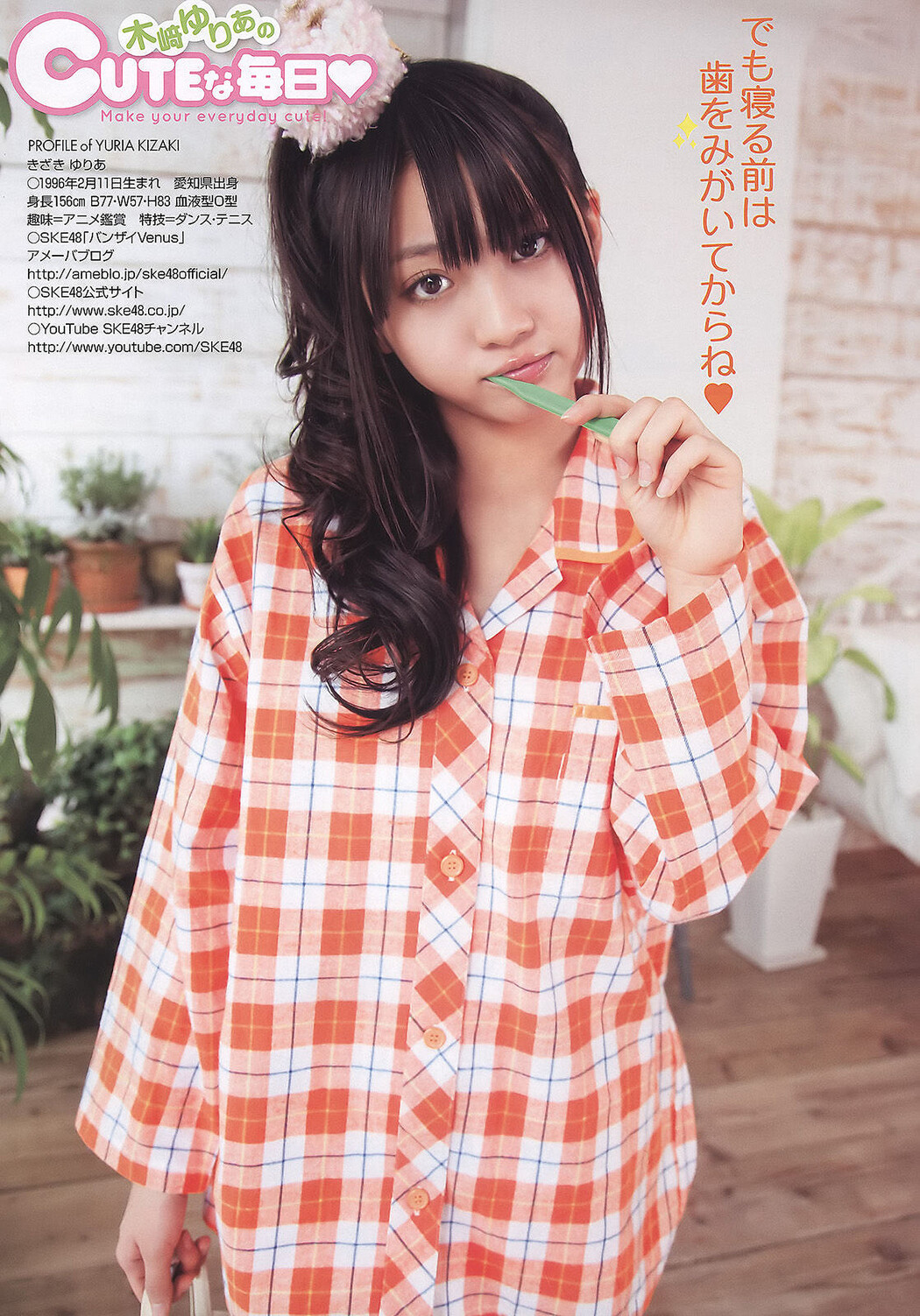 Rena Matsui 松井玲奈, Young Animal 2011 No.07 (ヤングアニマル 2011年7号)