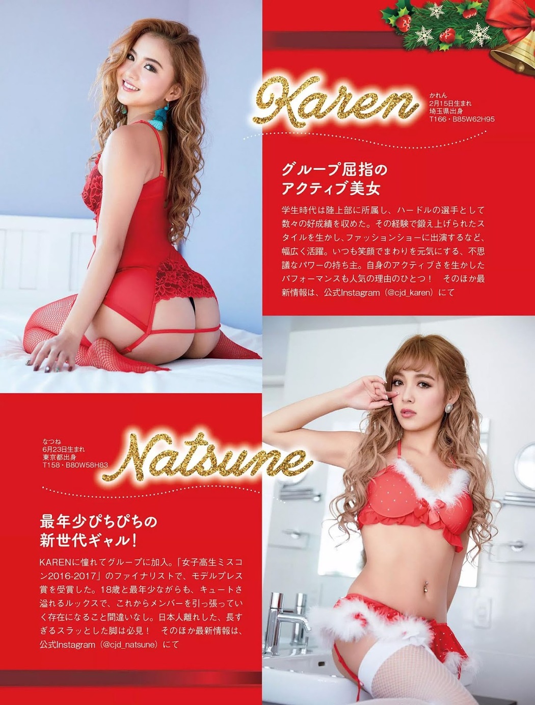 CYBERJAPAN, FLASH 2018.12.18 (フラッシュ 2018年12月18日号)