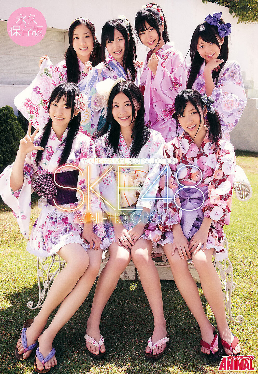 松井珠理奈・松井玲奈・高柳明音, Young Animal 2011 No.11 (ヤングアニマル 2011年11号)