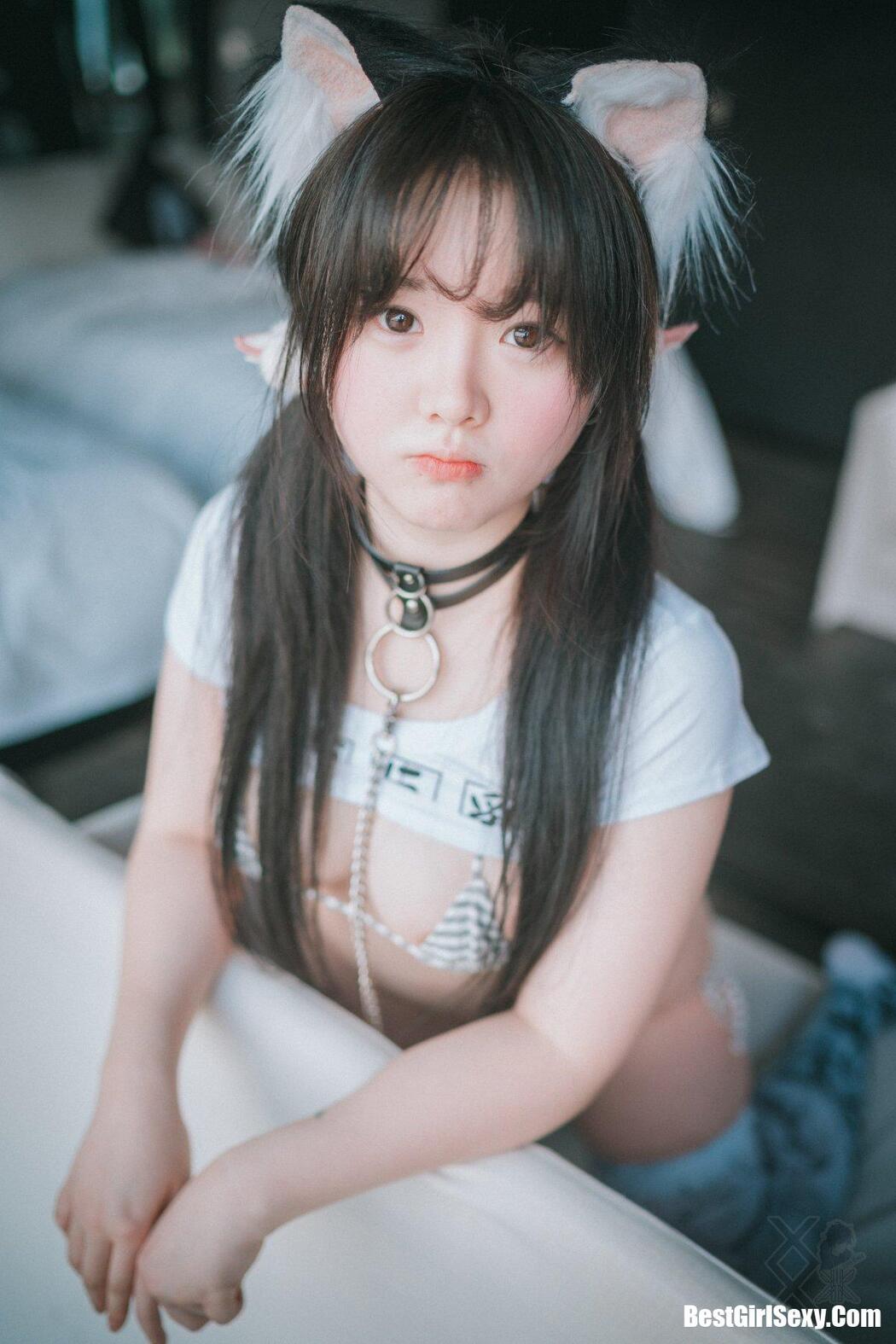 DJAWA Aya Tamed Wolfgirl I