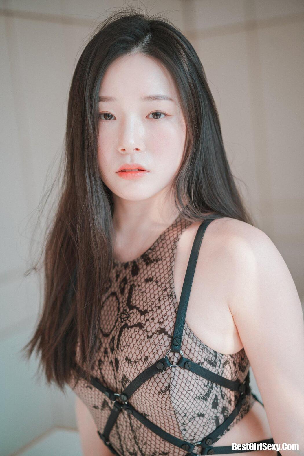 DJAWA Pia (피아) Black Cat & Gold Python