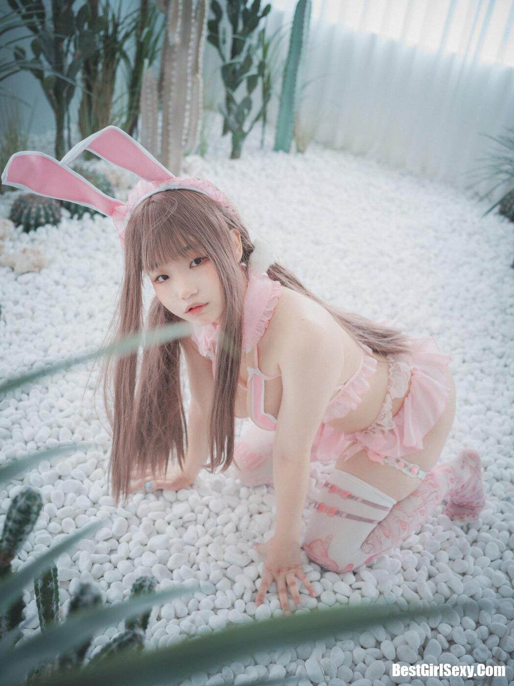 DJAWA Mimmi (밈미 March Hare
